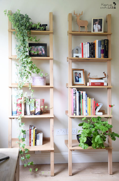 plantas en vacaciones
