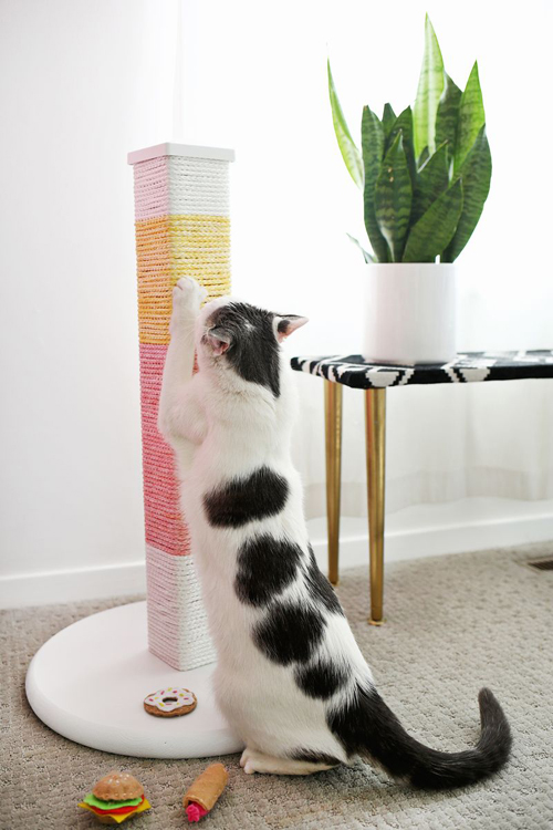 diy rascador para gatos