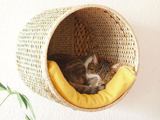 diy accesorios para mascotas