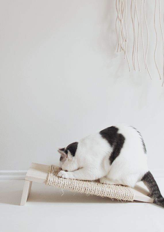 diy muebles para gatos
