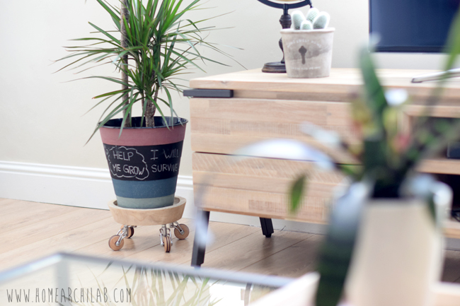 SOPORTE PLANTAS