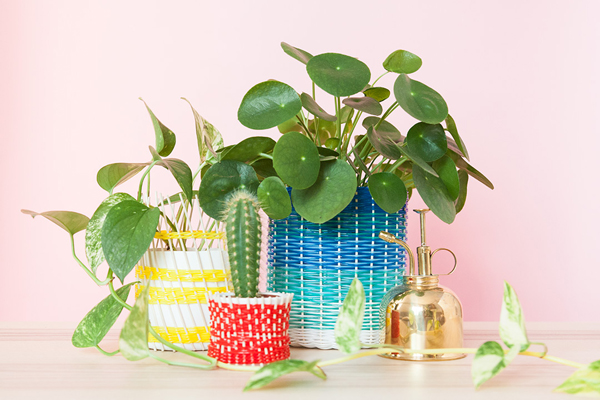 best diy blogs