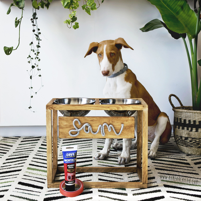 comedero con soporte para perro DIY