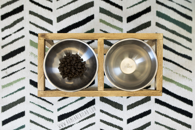 comedero con soporte para perro