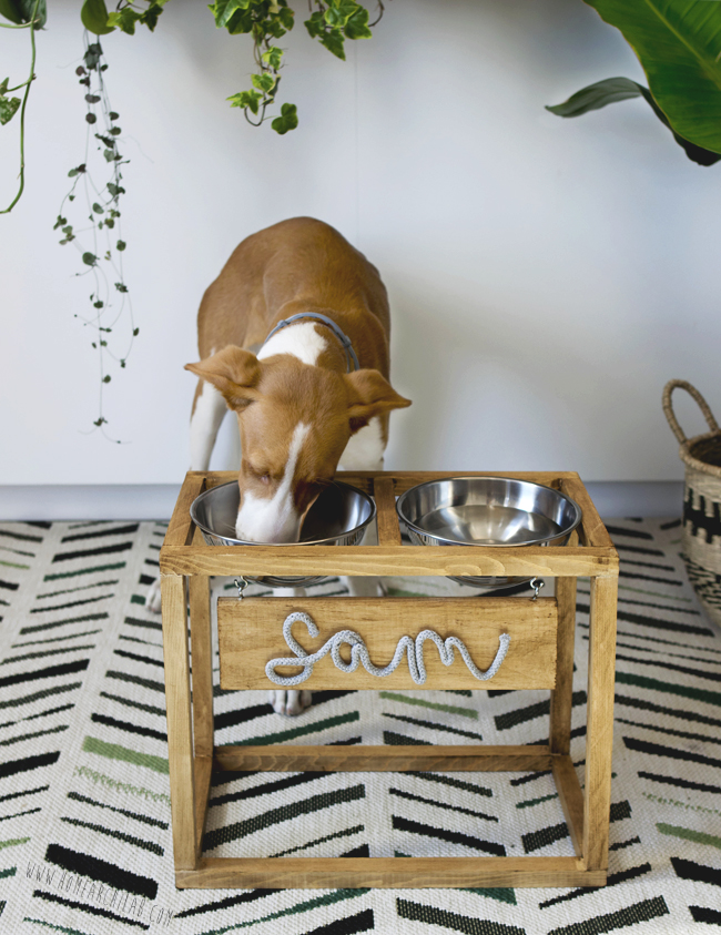 comedero DIY personalizado