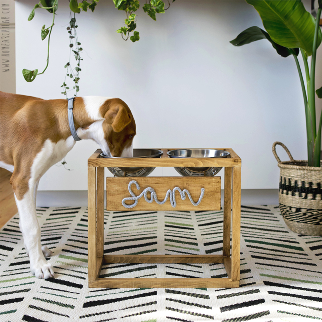 comedero personalizado DIY