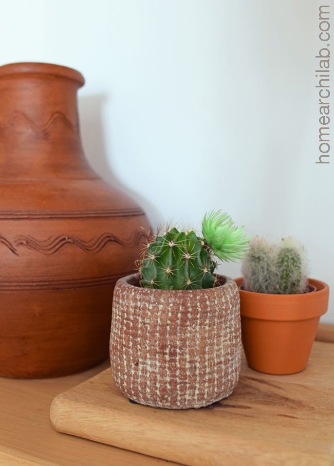 plantas en casa