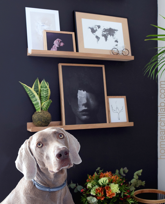 pared de acento del salon
