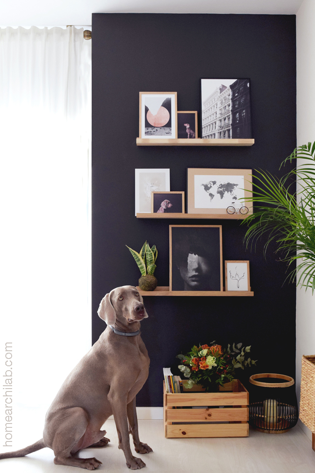 pared de acento del salon