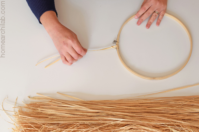 cabeza de león diy